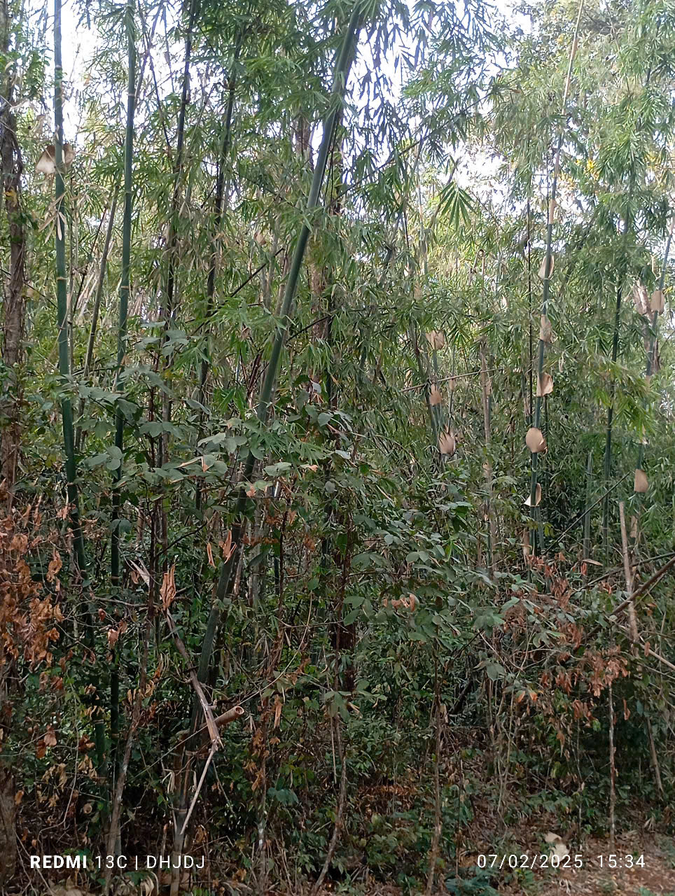 Tre khổng lồ
