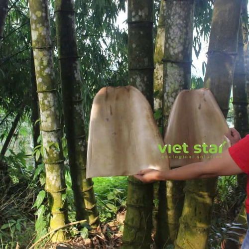 Tre khổng lồ Núi Cấm