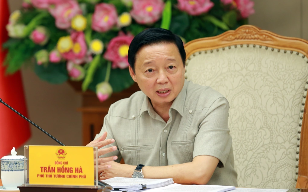 Thị trường Carbon Phó Thủ tướng Trần Hồng Hà
