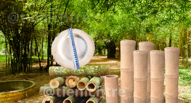 @tienichtre1 Nguyên liệu tre khổng lồ