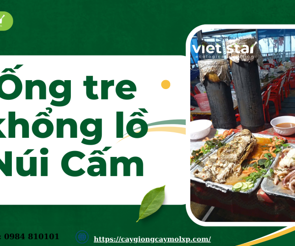 Ống tre khổng lồ Núi Cấm 