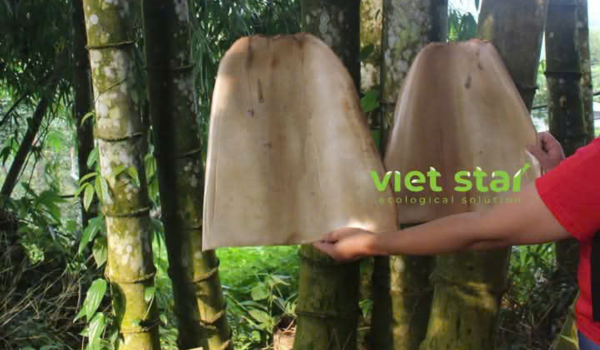 Tre khổng lồ Núi Cấm