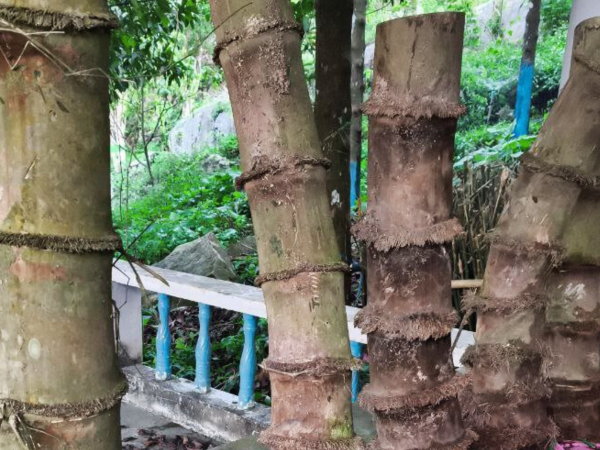 Thiết kế chưa có tên (1)