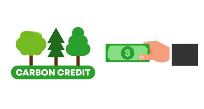 Xem xét phân bổ miễn phí và qua đấu giá Xem xét phân bổ miễn phí và qua đấu giá
