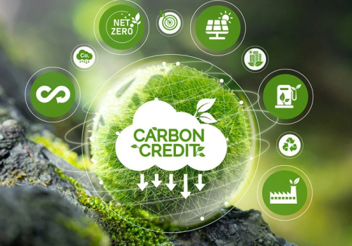 Thị trường tín chỉ Carbon