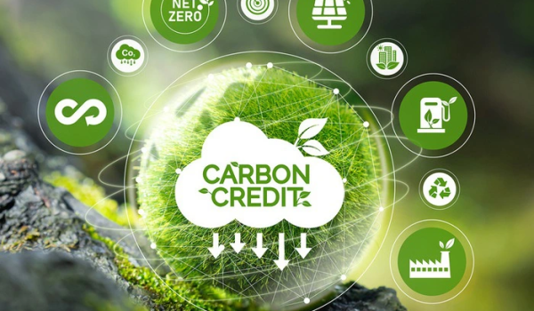 Thị trường tín chỉ Carbon