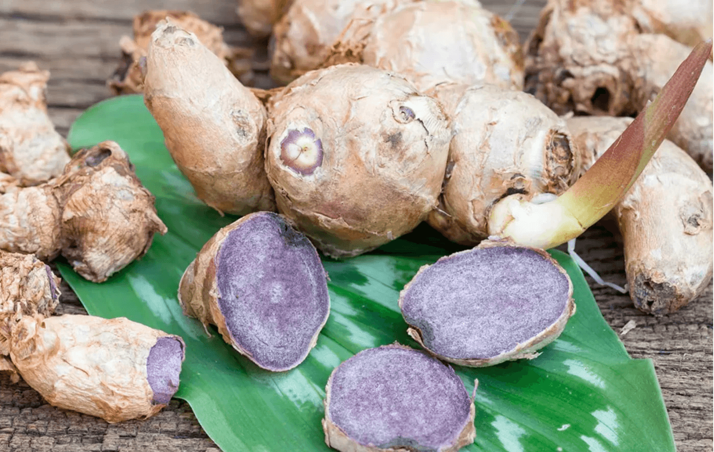 Gừng đen có tác dụng gì đến đây bạn đã biết rồi chứ?
