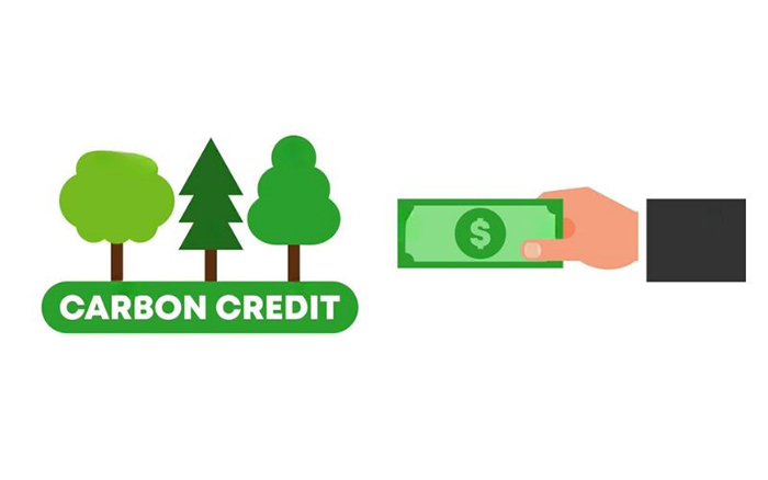 Xem xét phân bổ miễn phí và qua đấu giá