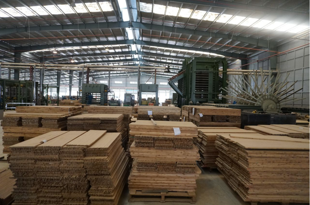 Ván lót sàn của SJF